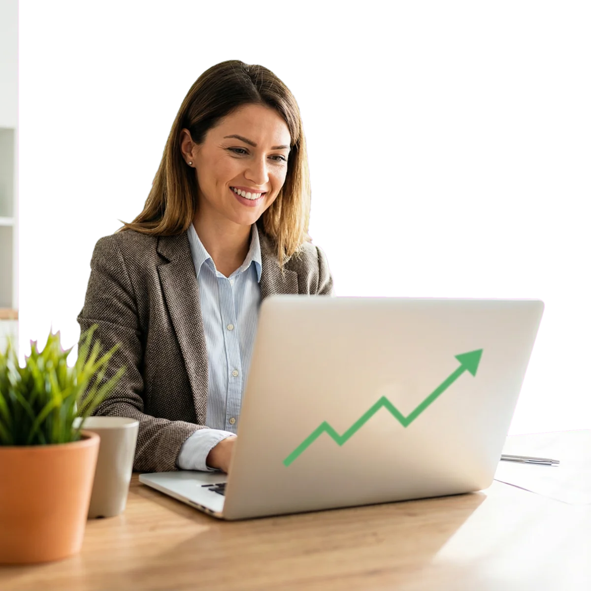 Análise de crédito transparente